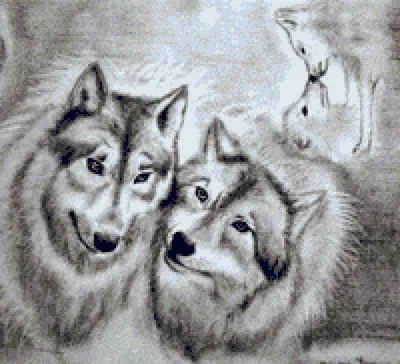 Волчья любовь.( краткая история) | Пикабу