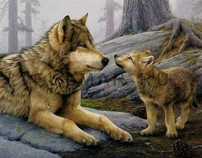 Волк и волчица арт - 64 фото