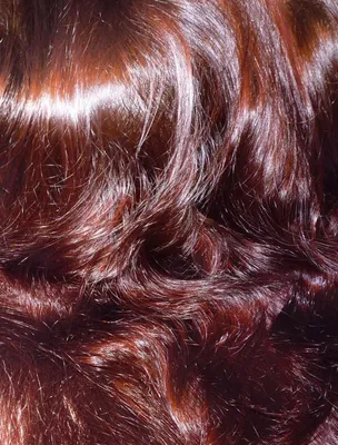 Хна для волос ФИТОкосметик иранская натуральная - «Покраска хной на окрашенные  волосы. В полку рыжих прибыло! Мечта идиота сбылась без вреда для волос!» |  отзывы