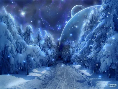 Волшебный зимний лес😍 | Природа {Rus Amino} Amino