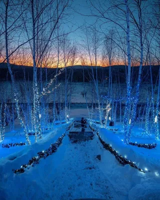 Одинцово-ИНФО - 🌲 Волшебный зимний лес 📸 iren_lapsha | Facebook