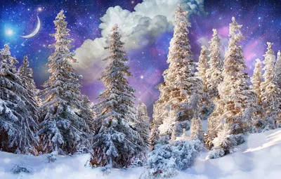 Волшебный зимний лес (18 фото) - 18 фото