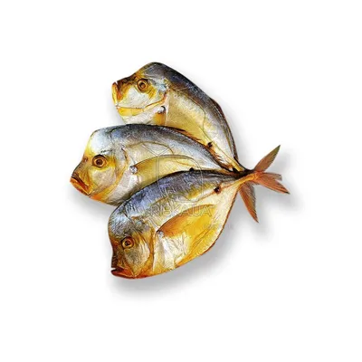 Вомер х/к купить по выгодным ценам в Киеве, заказать Рыба холодного и  горячего копчения онлайн в интернет магазине морепродуктов ribka.ua