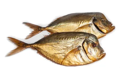 Рыба вомер - внешний вид, факты о вореме, размерная сетка и полезные  свойства вомера | Defa group