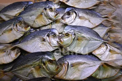 Море Рыбы - 🔸ВОМЕР🔸 🌕Рыба Луна Холодного копчения 🔸Цена -  3️⃣8️⃣9️⃣₽/кг🔸 . 🐟Эта экзотическая и крайне необычная рыба покорила  жителей восточной Европы. 😋Она очень вкусная Благодаря процессу копчения с  помощью натуральных ингредиентов,