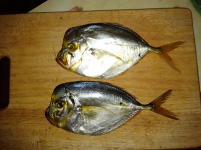 Рыба Вомер копчёный - «вкусная, сытная рыбка» | отзывы