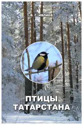 Перелетные и зимующие птицы Москвы - Агентство городских новостей «Москва»  - информационное агентство