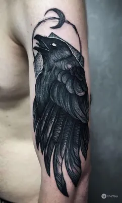 тату эскизы \"Ворон\" - VeAn Tattoo