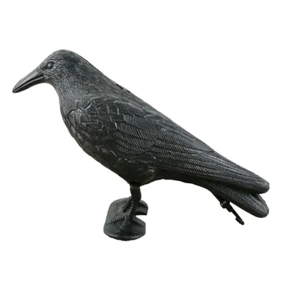большой черный ворон под дождем, прикольная картинка ворона, ворона, птица  фон картинки и Фото для бесплатной загрузки