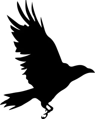 Отпугиватель птиц ворон Bradas • Интернет магазин Дак Одесса