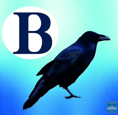 Ворон птица черный» — создано в Шедевруме