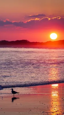 Восход солнца море акварель фон Обои Изображение для бесплатной загрузки -  Pngtree