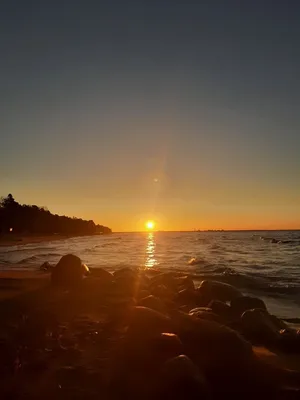 Фотообои \"Восход солнца над морем. Панорама\" - Арт. 140004 | Купить в  интернет-магазине Уютная стена