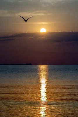 Восход солнца на море, красиво, …» — создано в Шедевруме