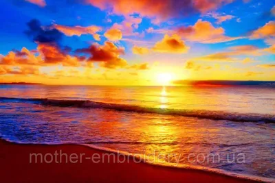 Картинки берег, восход солнца, море, волны, австралия - обои 1600x900,  картинка №177510