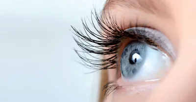 Красный глаз | Новости офтальмологии