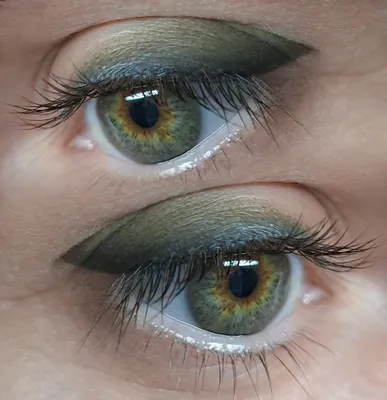 Зелёный макияж глаз со стрелками / Урок макияжа глаз пошагово для  визажистов - YouTube