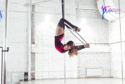 Занятия на воздушном кольце в Москве. Занятия на кольцах (aerial hoop),  воздушная гимнастика на кольце, воздушное кольцо в школе Avenue Art Lab