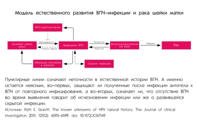 Вопросы и ответы о вирусе папилломы человека (ВПЧ) | Госпиталь Сант Жоан де  Деу Барселона