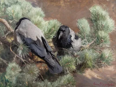 Врановые птицы (Corvidae) Армении