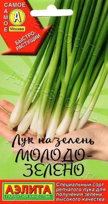 Все о выращивании лука: от посадки до уборки + лучшие сорта | На грядке  (Огород.ru)