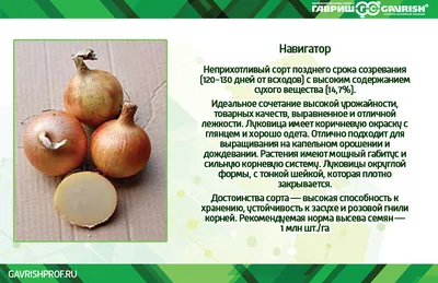 Сертификат на лук репчатый оформить в ЦС Сертфуд - sertfood.ru