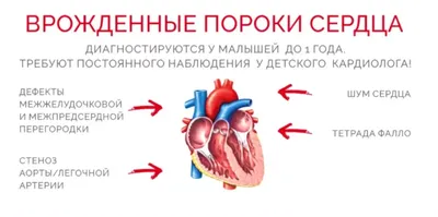 Врожденный и приобретенный порок сердца: чем отличаются и как лечить