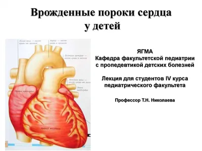 Какие патологии и пороки развития плода выявляет УЗИ на ранних сроках