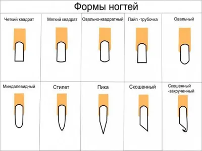 Формы ногтей для маникюра: названия и описания | lab-makeup | Дзен