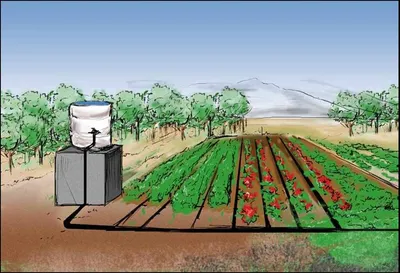 Капельный полив - готовые комплекты для организации полива грядок