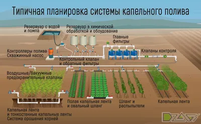 Убирают ли капельный полив на зиму — Masterprof Season