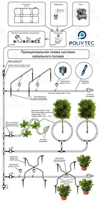 Система капельного полива в теплице | Все для строительства | Дзен