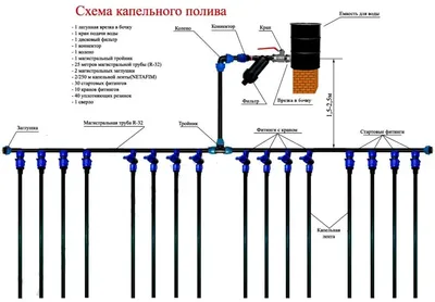 Капельный полив Cicle Жук от ёмкости, на 30 растений, с таймером  4607156367573 - выгодная цена, отзывы, характеристики, 2 видео, фото -  купить в Москве и РФ