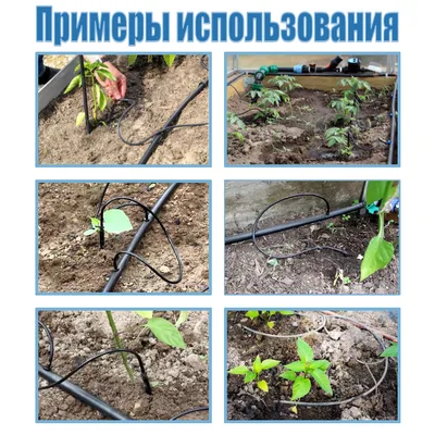 9 аргументов в пользу использования капельного полива | AgroMarket интернет  магазин семян