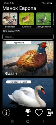 🦃🐔🐓🐣🐤🐥🐦🐧🕊️🦅🦆🦢🦉🦩🦚🦜все …» — создано в Шедевруме