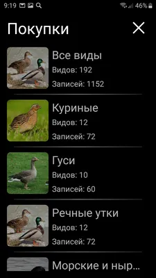 Угадайте, какая из 5 птиц не живёт в России. Тест проходит 1 из 10 😉