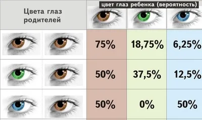 Самый редкий цвет глаз и что о нем известно