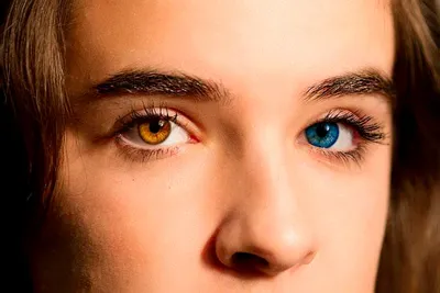 Какой цвет глаз самый редкий и почему? Объясняет врач | Вокруг Света