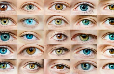 9 цветов глаз: какой есть всего у 600 людей на планете