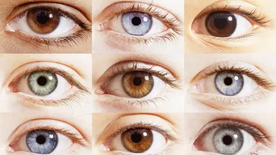 Ваш цвет глаз говорит о вас больше, чем вы могли бы подумать! | ПОЛЕЗНЫЕ  СОВЕТЫ НА ЛЮБОЙ СЛУЧАЙ | Дзен
