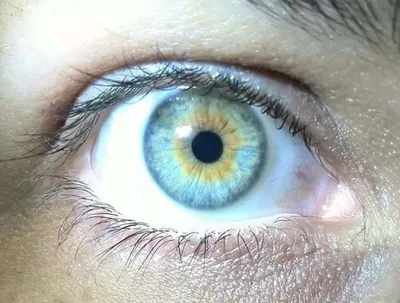 Цветные контактные линзы AMARA для глаз Аниме Косплей цветные линзы ed  синие зеленые многоцветные контактные линзы ed линзы Красота Макияж |  AliExpress