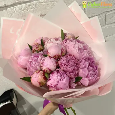 ᐉ Купить Букет цветов \"Пионы Букет 3\" в Алматы по выгодной цене |  Bestflowers.kz