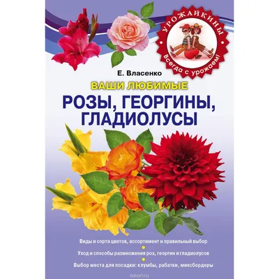 Луковицы гладиолусов - купить в Беларуси недорого |Каталог ВЕСНА 2024|  Доставка почтой в интернет-магазине