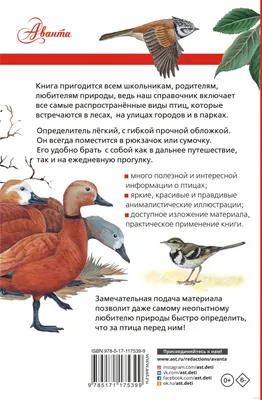Факты о птицах