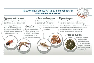 Подстилка, восстановленная из навоза КРС