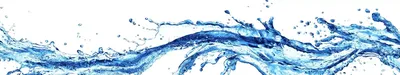иллюстрация всплеска воды, всплеск пива Mapol Snc, струя воды, филиал,  цвет, инкапсулированный PostScript png | PNGWing