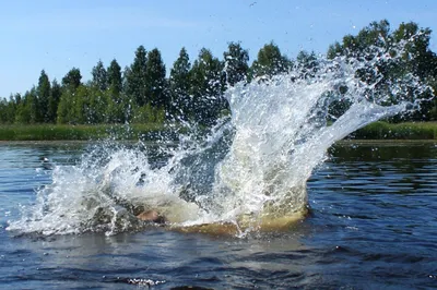 Фото Всплеск воды