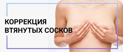 Сосок — Википедия