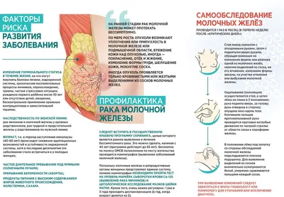 Рак молочной: принципы лечения разных стадий и типов рмж