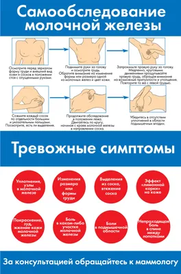 С 2 по 8 октября Неделя борьбы с раком молочной железы | Государственное  автономное учреждение дополнительного образования Свердловской области  спортивная школа олимпийского резерва по самбо и дзюдо